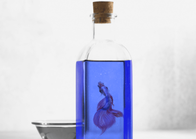Montage photo d’une bouteille